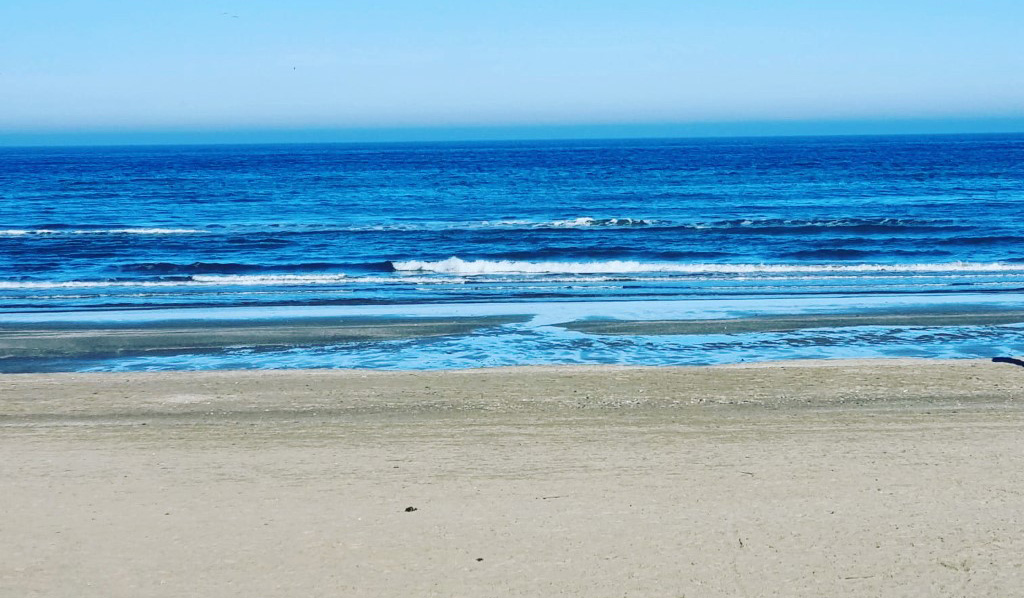 Pamelaonthebeach